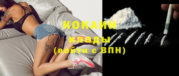 первитин Богородицк