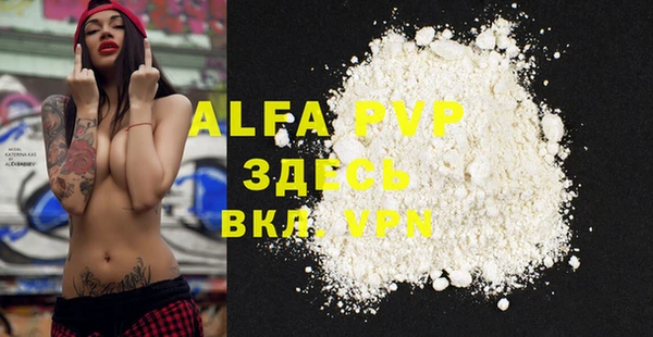 ECSTASY Белокуриха