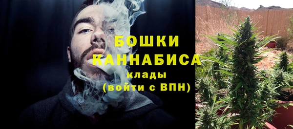 первитин Богородицк