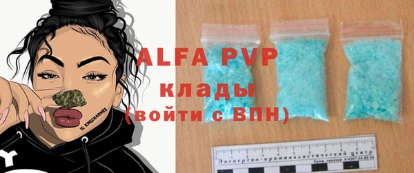 ПСИЛОЦИБИНОВЫЕ ГРИБЫ Богданович